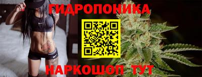 крисы Ливны