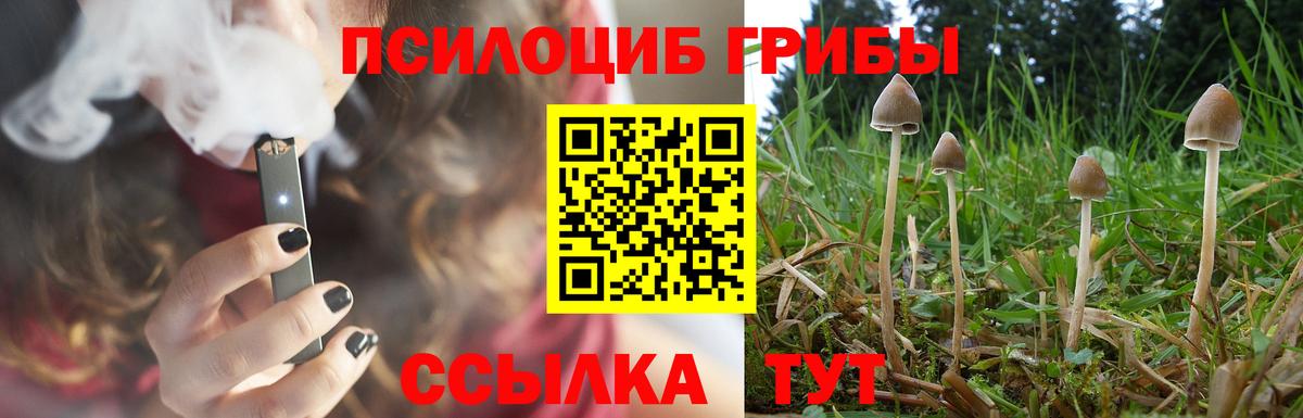 Каменка  Галлюциногенные грибы ЛСД  Вход с VPN 